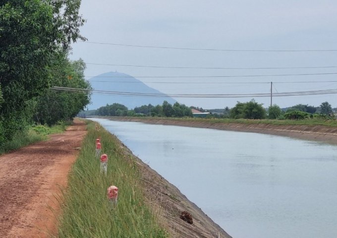 Đất view kênh xanh mát ở Gò Dầu, oto chạy vi vu – giá 720tr
