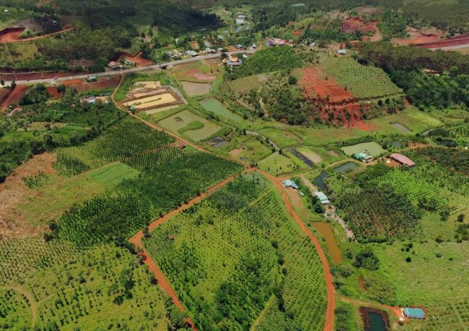Bán đất nông nghiệp 1700m² , chỉ 920k/m2 tại, Xã Nâm N'Jang, Huyện Đắk Song, Đắk Nông