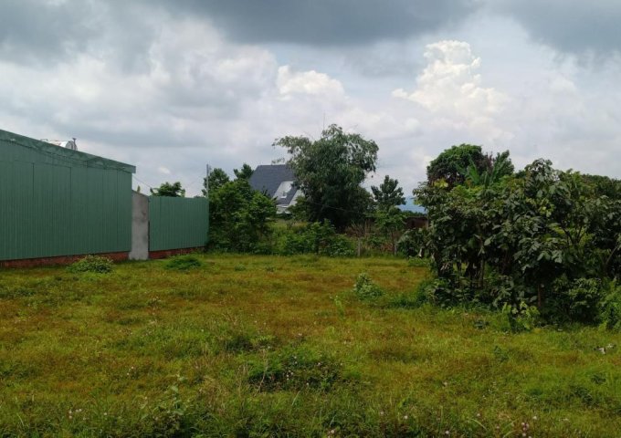 Chính chủ cần bán lô đất Thị trấn Đất Đỏ vị trí cực đẹp cách TP Bà Rịa 12km,