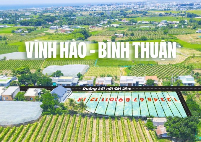 Đất biển Bình Thuận lợi nhuận 10%/năm giá chỉ 800triệu