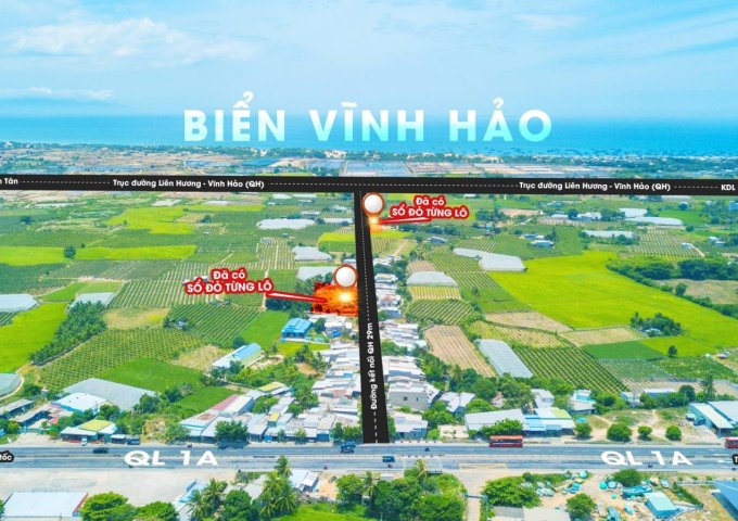 Đất Biển Bình Thuận 739 triệu/lô - Sỉ lốc 5 lô full thổ cư, đường lớn 29m Phước Thể, Tuy Phong.