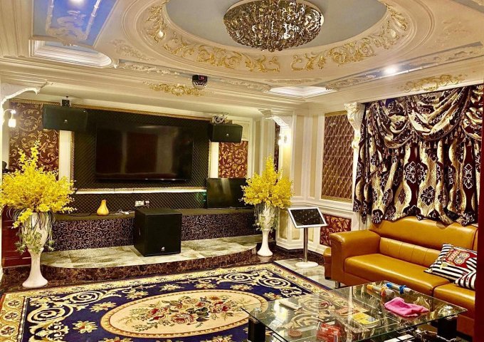 BIỆT THỰ SANG CHẢNH - TẶNG NỘI THẤT GỖ ĐỎ CAO CẤP  CÁCH MẠNG THÁNG 8 - TÂN BÌNH 65 TỶ TL. 