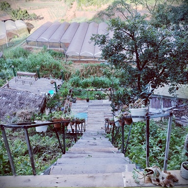 Cần bán farmtay tại thôn đa quí, xã Xuân Thọ , tp Đà Lạt