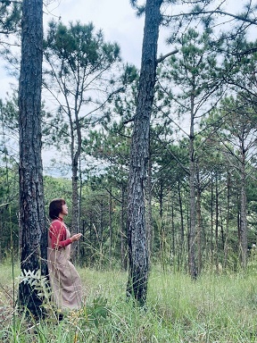 Cần bán farmtay tại thôn đa quí, xã Xuân Thọ , tp Đà Lạt