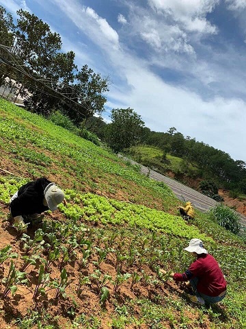 Cần bán farmtay tại thôn đa quí, xã Xuân Thọ , tp Đà Lạt