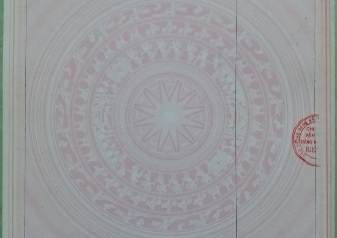 Chính Chủ Cần Bán Nhà xưởng xã Xuân Thới Đông, Huyện Hóc Môn, TP.HCM