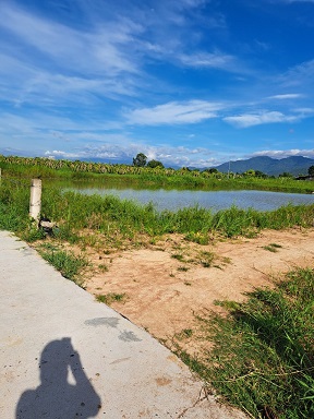 SIÊU PHẨM GIÁ RẺ - 1 SÀO THÔN 2 HÀM LIÊN QUY HOẠCH THỔ CƯ - TỈNH BÌNH THUẬN