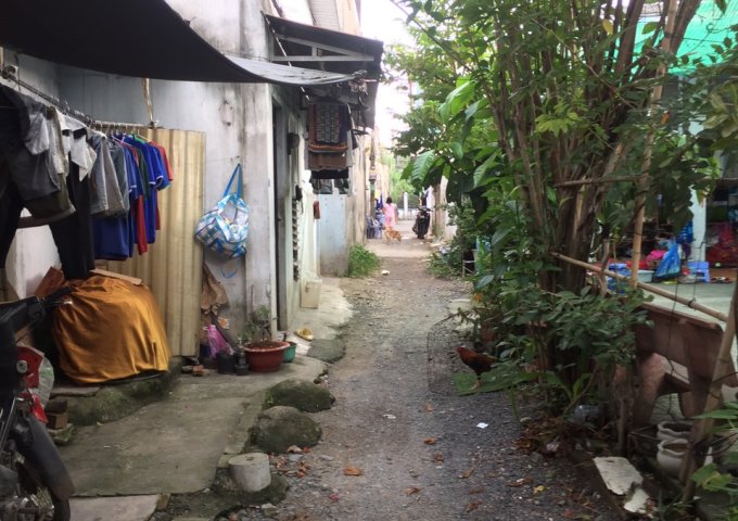 Bán lô đất sau chợ đầu mối Hóc Môn, xã Xuân Thới Thượng, TP HCM