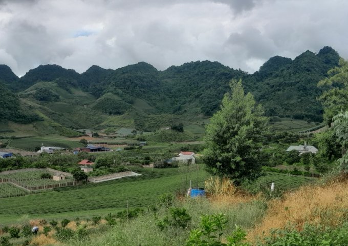 Cần bán lô đất đẹp tại Thị Trấn NT Mộc Châu,Huyện Mộc Châu,Tỉnh Sơn La