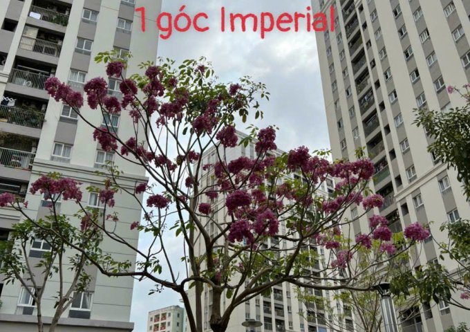 Bán Chung cư IMPERIAL PLACE GIÁ RẺ - ĐẦY ĐỦ TIỆN ÍCH tại Bình Tân. Giá 1.6 tỷ. Thuê từ 6tr/th