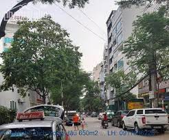 Nhà mặt phố Dịch Vọng: Gần nhiều tiện ích, thuận tiện sinh hoạt 65m2 11 tỷ mặt tiền nhà 7m2