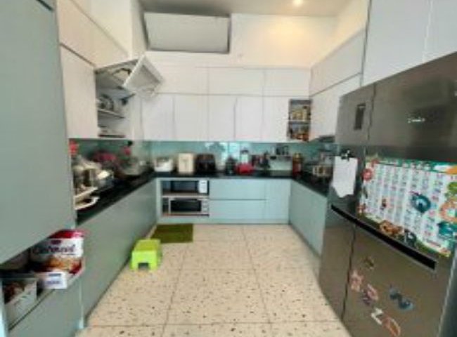 Chính chủ bán căn PENHOUSE DUPLEX 300m2 Cienco 1 Hoàng Đạo Thúy Thanh Xuân