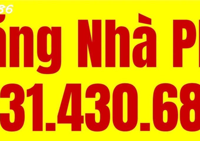 Biệt Thự Đẹp 227 Đường Lê Lâm, Phường Phú Thạnh, Quận Tân Phú - Cơ Hội Đầu Tư Tuyệt Vời