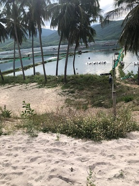 Bán lô Đất full 186m2 thổ view hồ tại xã Xuân Hải, Sông Cầu, Phú Yên