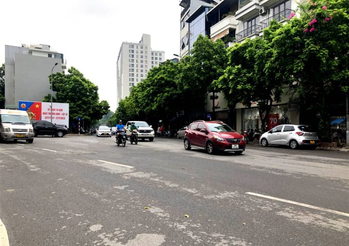 Bán Đất Mặt Phố Vạn Phúc Quận Ba Đình. 245m Mặt Tiền 14.5m Nhỉnh 18 Tỷ. Cam Kết Ảnh Thật Mô Tả Chính Xác. Chủ Muốn Bán Nhanh Lo Việc Nhà. 2181