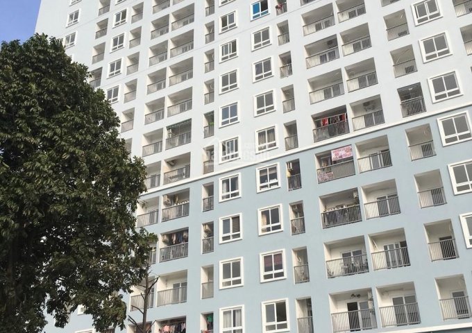 Cho thuê căn hộ chung cư CT36 Xuân La – 76m2 ( 2PN) – đồ cơ bản.