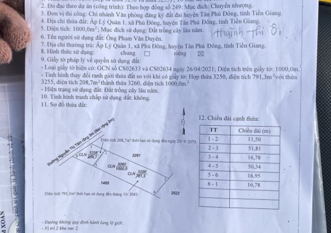 CẦN BÁN LÔ ĐẤT HIỆN TẠI ĐANG TRỒNG DỪA TẠI HUYỆN TÂN PHÚ ĐÔNG - TỈNH TIỀN GIANG