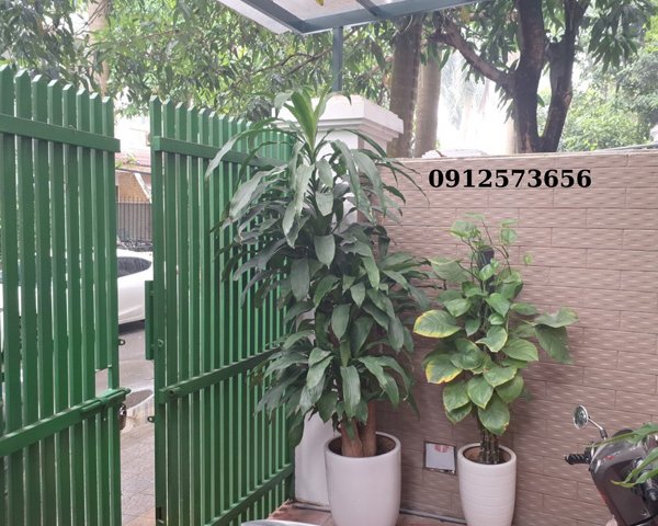 BÁN BIỆT THỰ KHU C CIPUTRA 126M2 ĐÃ SỬA ĐẸP, TẶNG TOÀN BỘ ĐỒ ĐẠC TRONG NHÀ