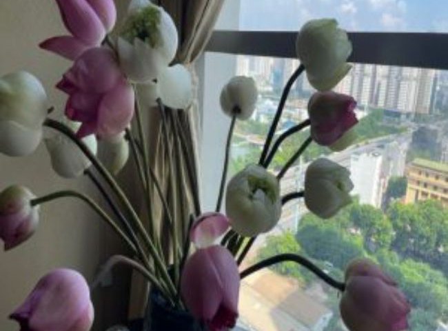 Cần bán chung cư Thăng Long Number One, Cầu Giấy, Hà Nội , nội thất đẹp, hướng ĐN