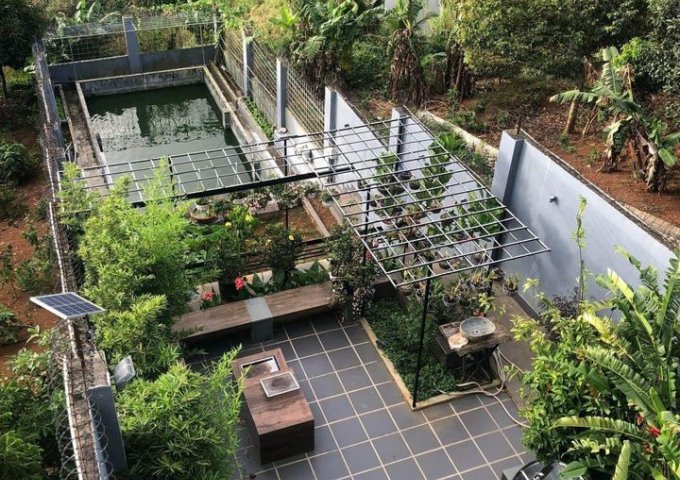 nhà vườn nghỉ dưỡng hiện đại mặt tiền dã tượng phường tân an - bmt