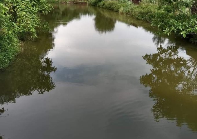 5.5 tỷ đất Ba Vì chính chủ cần bán gấp