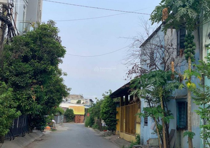 Chính chủ, bán gấp mảnh đất diện tích 361,2m², đất ở 226,9 m² thuộc hẻm 74, đường 36, phường Linh Trung, Thành phố Thủ Đức. Giá chỉ 31 triệu đồng/m2