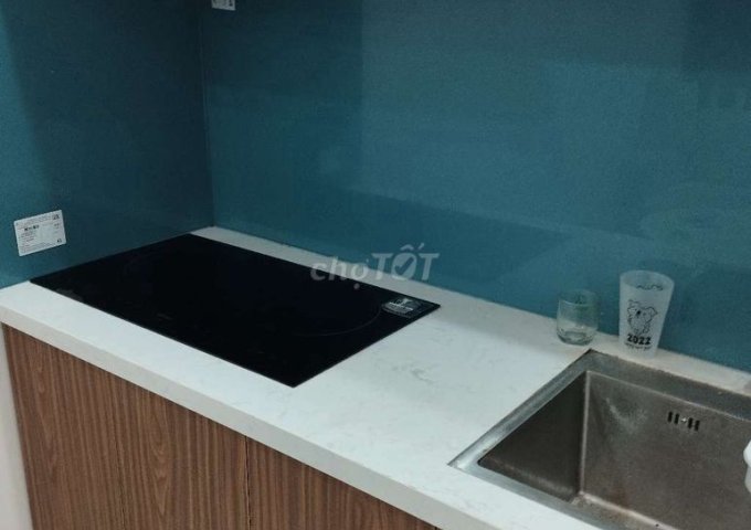 Cho thuê căn hộ chung cư mini ngõ 189 Hoàng Hoa Thám, Liễu Giai