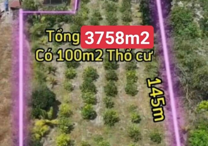 CHÍNH CHỦ CẦN BÁN GẤP NHÀ ĐẤT MẶT TIỀN DH707