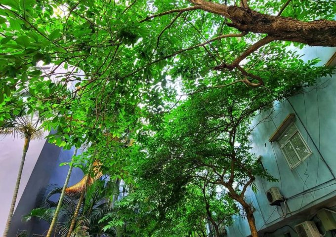 Bán căn hộ chung cư B15 Đại Kim. Vị trí đắc địa, giao thông thuận tiện.