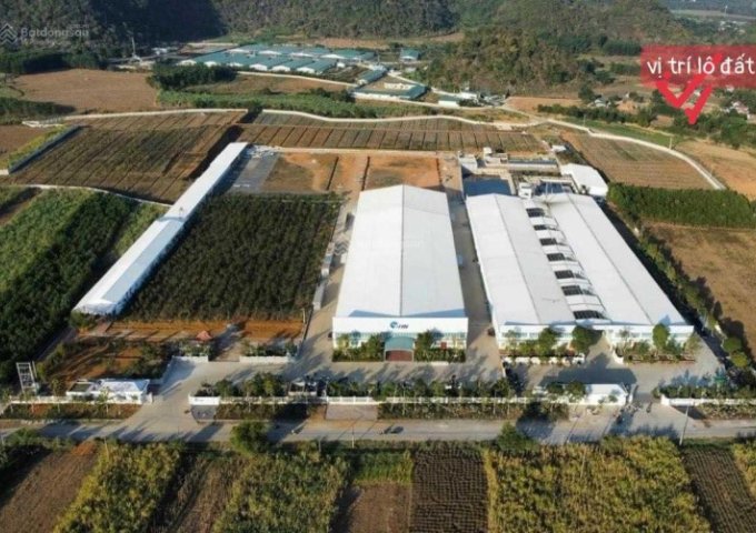 Em còn 2 lô bám trục vành đai KCN Thạch Quảng, Thạch Thành, Thanh Hoá, 295tr/lô; 0386509317