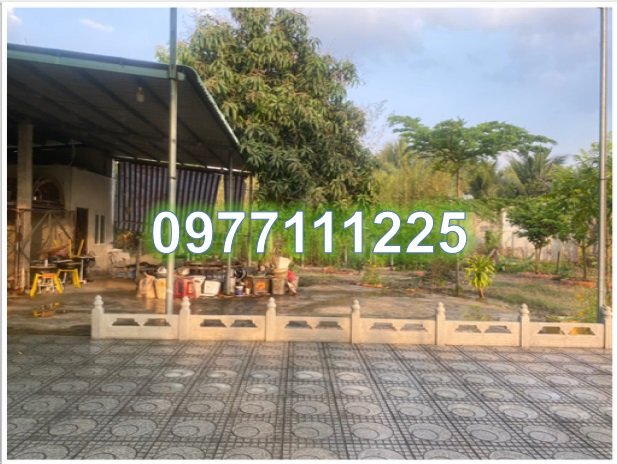 ⭐Chính chủ bán gấp nhà vườn vị trí đẹp xã Trung Lập Thượng, Củ Chi, TP.HCM; 7,2tỷ; 0977111225