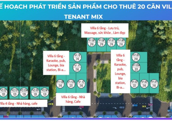 HOT! HOT! CHÍNH CHỦ BÁN GẤP ĐẤT PHÂN LÔ BIỆT THỰ  MẶT TIỀN - VỊ TRÍ ĐẸP - TIỀM NĂNG SINH LỜI CAO