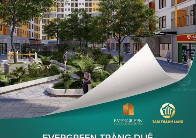 Dự án Evergreen Tràng Duệ có vị trí nằm tại trung tâm khu đô thị KĐT Seoul Ecohome Tràng Duệ, Hải Phòng