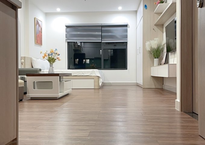 Chính chủ cho thuê căn studio Vinhome Ocean park Gia Lâm