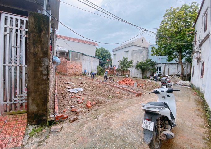 CHÍNH CHỦ BÁN LÔ ĐẤT TẠI ĐÔNG PHƯƠNG YÊN-CHƯƠNG MỸ GÂN NGAY KHU CÔNG NGHIỆP PHÚ NGHĨA