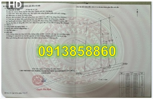 ⭐Bán lô đất đường Xương Cá (Số 1 và 2) bên xã Lý Nhơn, Cần Giờ, TPHCM, giá đầu tư. 0913858860