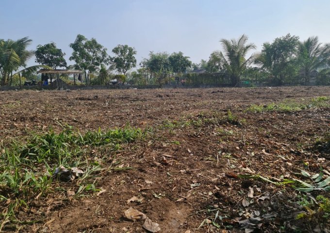 Hiếm Mặt Tiền Nguyễn Văn Bứa Hóc Môn 7651m2 Đất Chỉ 125 Tỷ