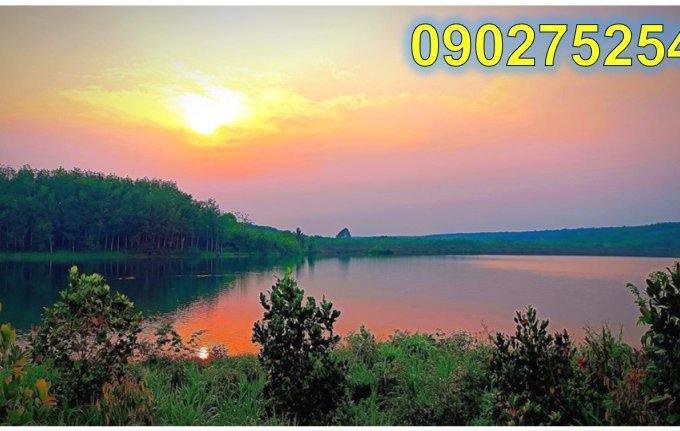 ⭐Chính chủ bán đất 2300m2 mặt hồ NT4,  Phú Riềng, Bình Phước, 2,5tỷ; 0902752545