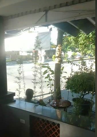 Do nhiều việc ,không có người quản lý mình cần sang lại quán cafe đang kinh doanh ổn định.