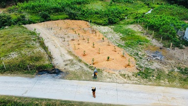 Chính Chủ Cần Bán Lô đất tại chỉ Thôn Ba Dùi, xã Khánh Bình, huyện Khánh Hòa, tỉnh Khánh Hòa