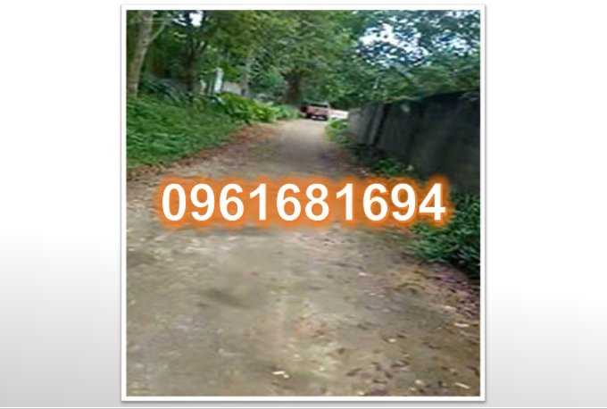 ⭐Chính chủ bán đất giá tốt nhất khu vực Hoà Thạch, Quốc Oai, chỉ 10tr/m2; 0961681694
