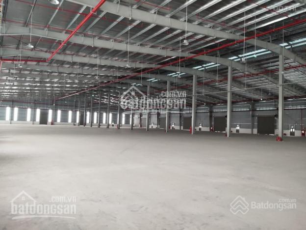 Công ty chúng tôi đang còn kho 1267 m2 trống với một số thông tin chính sau