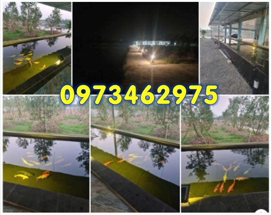 ⭐Chính chủ nhượng trang trại, khu nghỉ dưỡng, làm kho xưởng TT Phú Minh, Phú Xuyên, HN; 0973462975