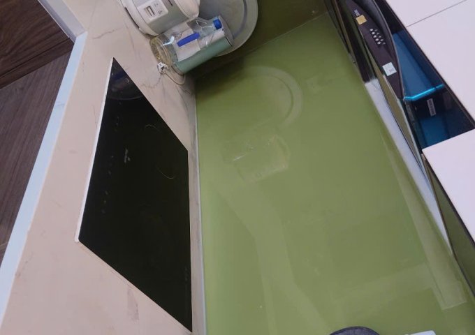 Chính chủ cho thuê căn hộ Chung cư Vinhomes Smart City - Tây Mỗ - Nam Từ Liêm