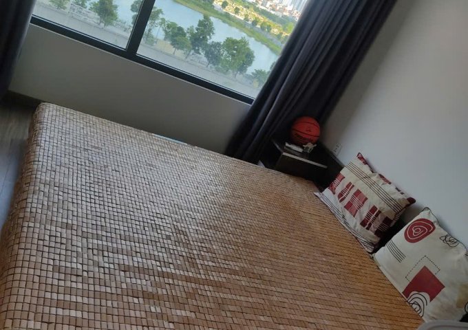 Chính chủ cho thuê căn hộ Chung cư Vinhomes Smart City - Tây Mỗ - Nam Từ Liêm