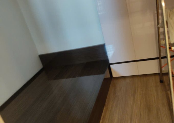 Chính chủ cho thuê căn hộ Chung cư Vinhomes Smart City - Tây Mỗ - Nam Từ Liêm