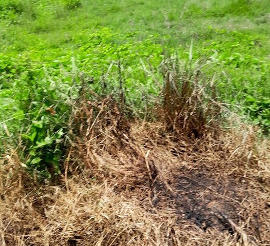 Cần bán 2469m2 đất mặt tiền Quốc Lộ 22 chỉ 22 tỷ Phước Thạnh Củ Chi TP.HCM