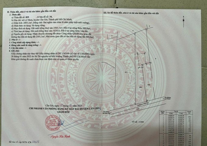 CHÍNH CHỦ CẦN BÁN GẤP LÔ ĐẤT TẠI ĐƯỜNG XƯƠNG CÁ XÃ LÝ NHƠN HUYỆN CẦN GIỜ, TPHCM