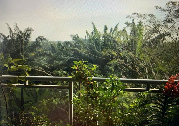 Cho thuê căn hộ chung cư Mỹ Viên, PMH ,Quận 7, DT: 95m, 2pn, 2wc , full nội thất , giá : 13 triệu.LH:0906611859 Thư