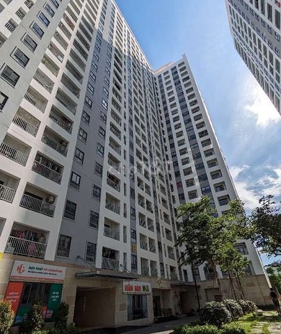 Cho Thuê Căn hộ mới 2PN, 2WC - Chung cư Iris Tower - Đường Nguyễn Du, Phường Bình Hòa, TP.Thuận An, Bình Dương